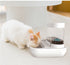 4-Style Pet Cat & Dog Feeder Bowl with Automatic Drinking Fountain (1.5L Capacity)