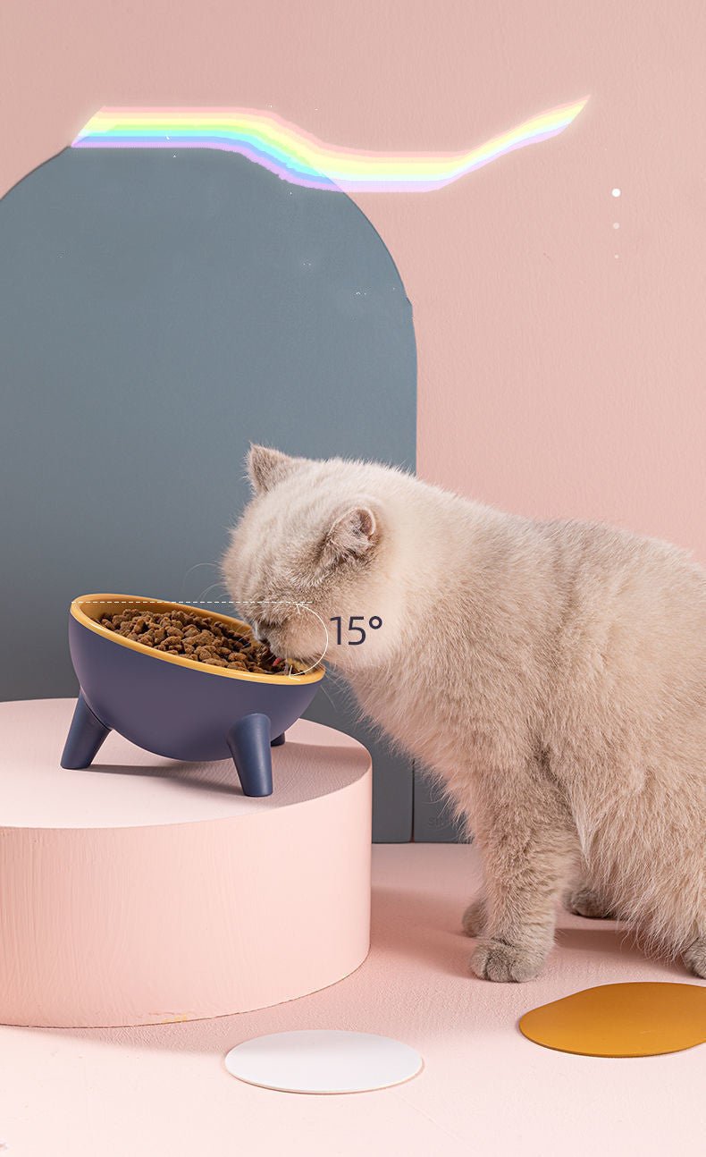 Cat &amp; Dog Bowl with Stand – Ergonomic, Non-Slip, and Durable Feeder