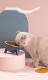 Cat &amp; Dog Bowl with Stand – Ergonomic, Non-Slip, and Durable Feeder