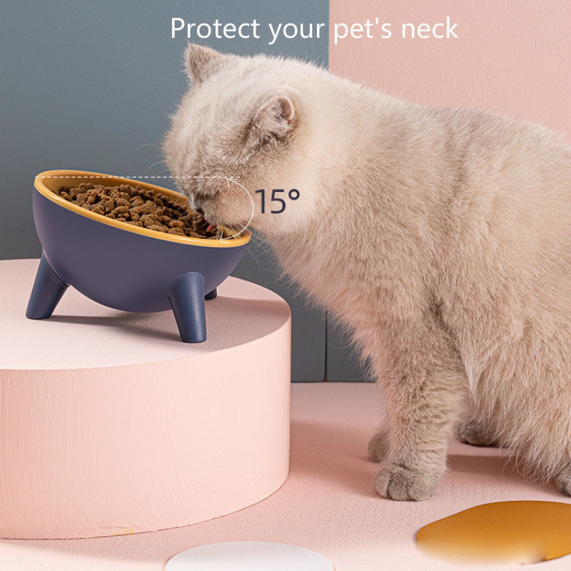 Cat &amp; Dog Bowl with Stand – Ergonomic, Non-Slip, and Durable Feeder