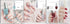 Tear-Free Water-Based Nail Polish – Summer Collection