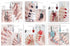 Tear-Free Water-Based Nail Polish – Summer Collection