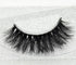 Faux Aurelia Eye Lashes – 3D Mink Long-Tail Lashes