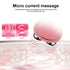 Portable Facial Micro-Current Beauty Instrument with Double Roller Massager